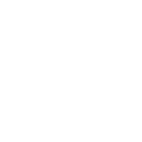 Mission Icon