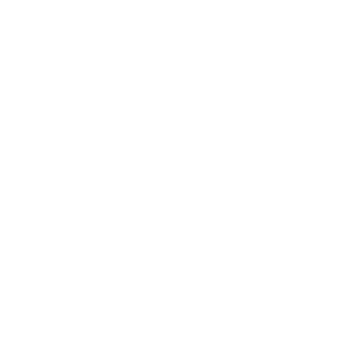 Vision Icon