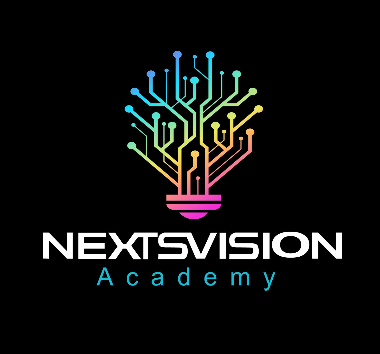 Next Vision Academy